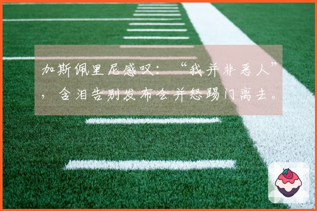 加斯佩里尼感叹：“我并非恶人”，含泪告别发布会并怒踢门离去。